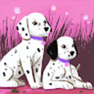 Meet your Posher, Catherine